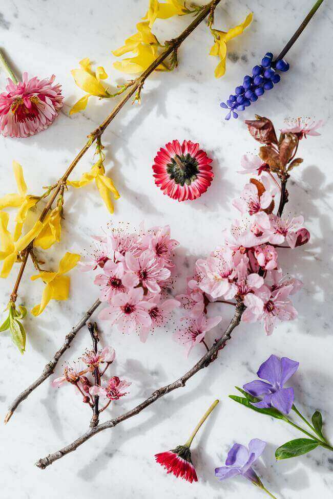 Ask Mother Nature for even more help with your home makeover. - Everything Abode