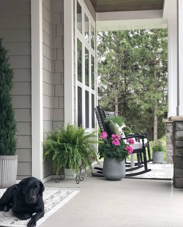 A shaded porch with beige siding, a black rocking chair, pink flowers in gray planters and a black dog lying on a rug.