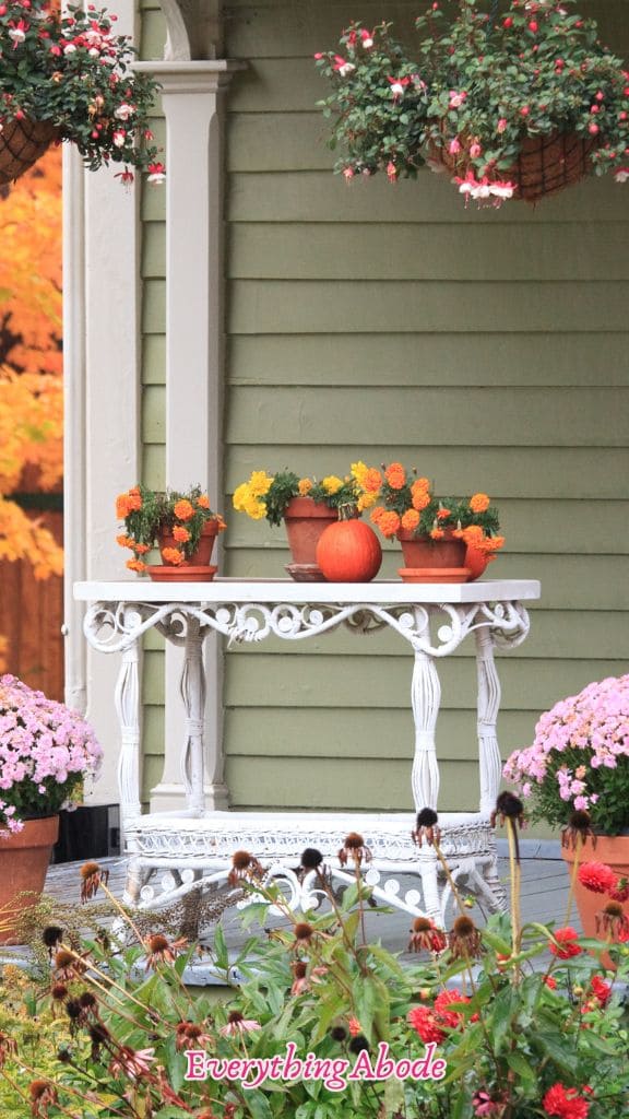 front porch with cute little planter pots on a white table