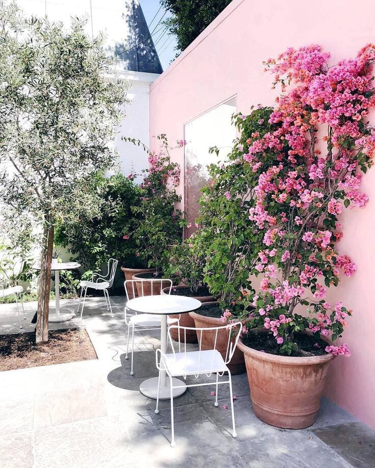 A peaceful courtyard with a pink wall, large potted bougainvillea, and white bistro tables and chairs surrounded by lush greenery.