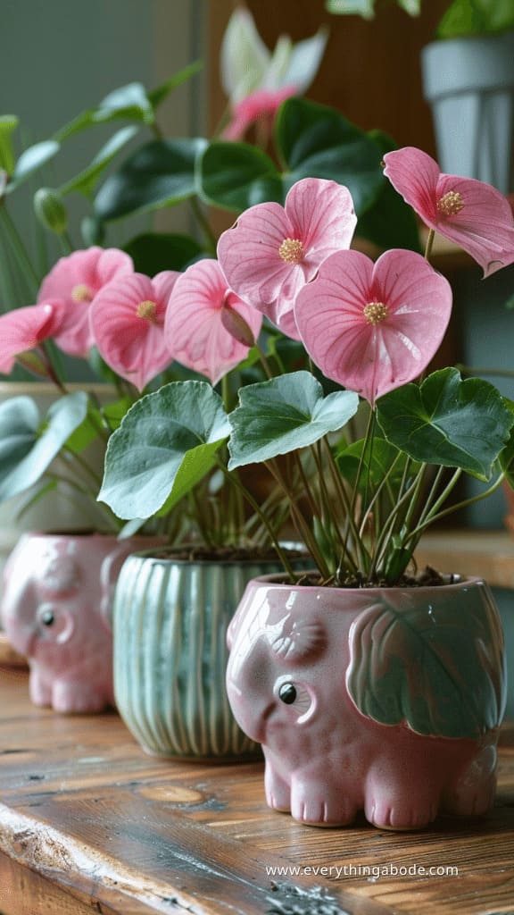 pink houseplants