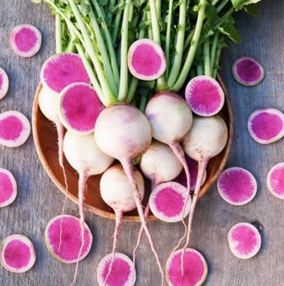 radishes as a easy to grow veggie