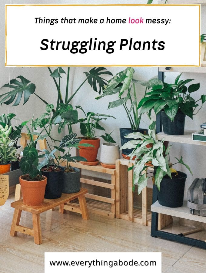 Plants on the struggle bus