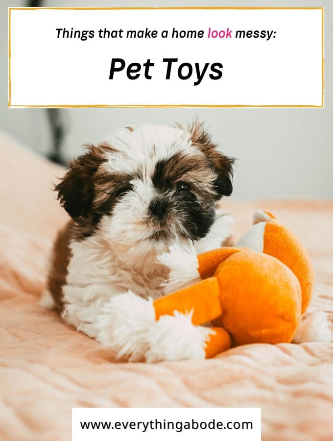 Pet Toys Everywhere