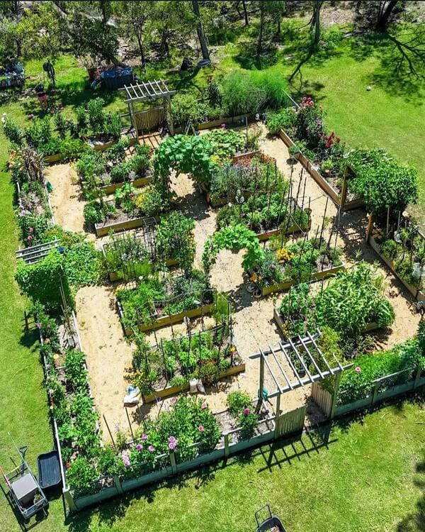 Aerial view of raised bed garden with multiple trellises and climbing plants