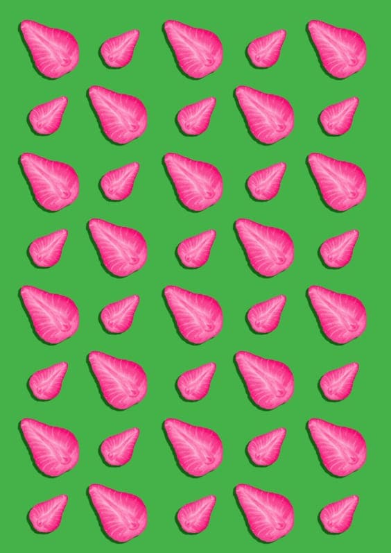 bright and fun tropical wallpapers backgrounds for mobile iphones