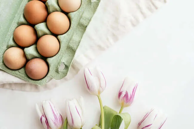 6 Very Easy to Digest Foods To Help Aid Easier Digestion - Everything Abode