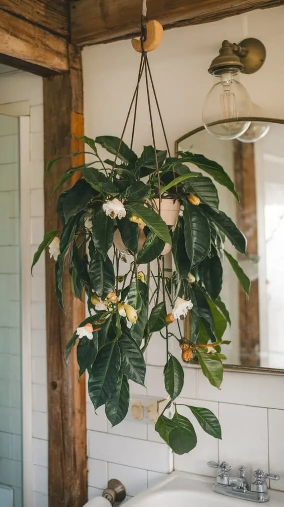 cottage core aesthetic for the home