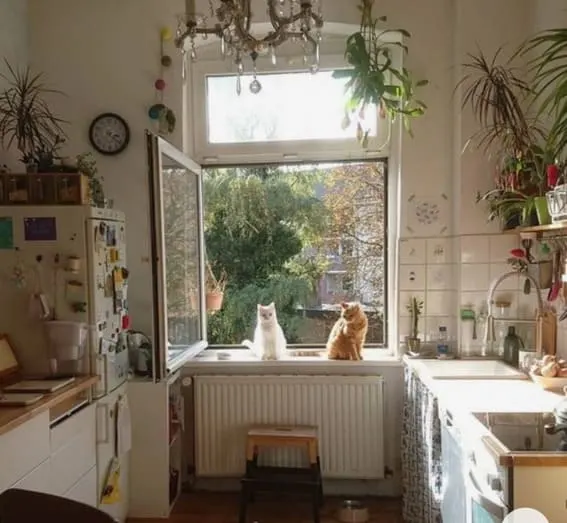 Cottagecore is an increasingly popular decorating style. Two cats perched on a windowsill in a cottage kitchen.