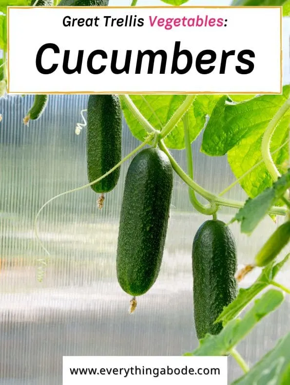 easy trellis vegetables, cucumbers