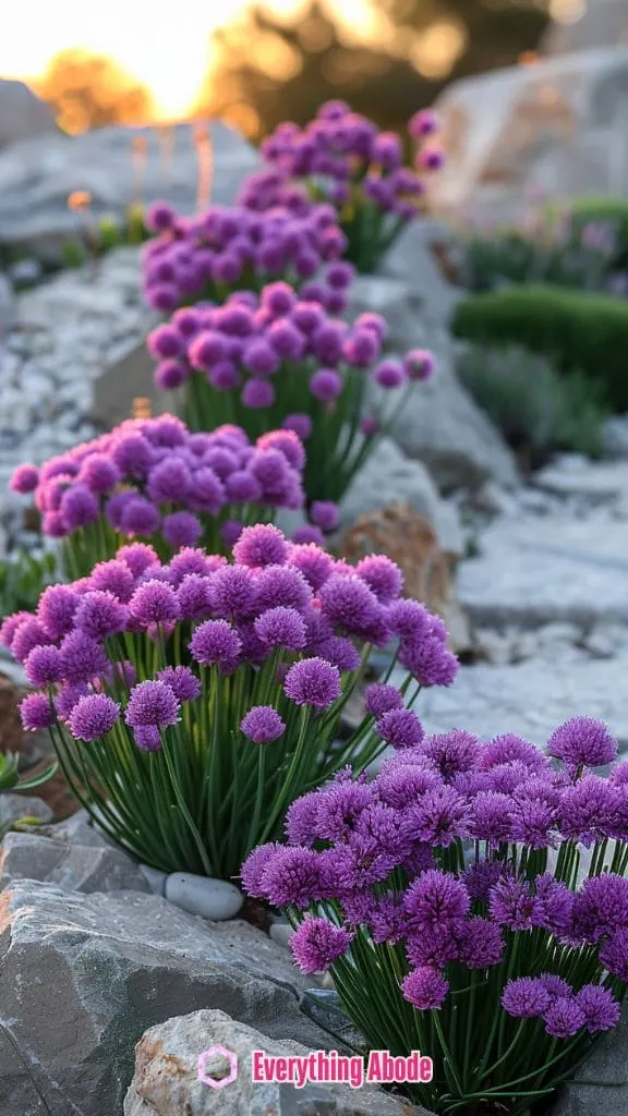 easy vegetables for beginners to grow, chives