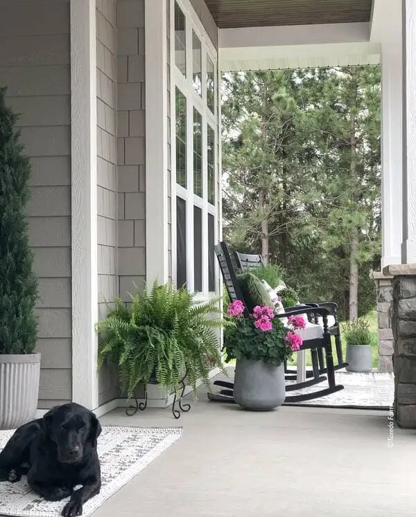 A shaded porch with beige siding, a black rocking chair, pink flowers in gray planters and a black dog lying on a rug.