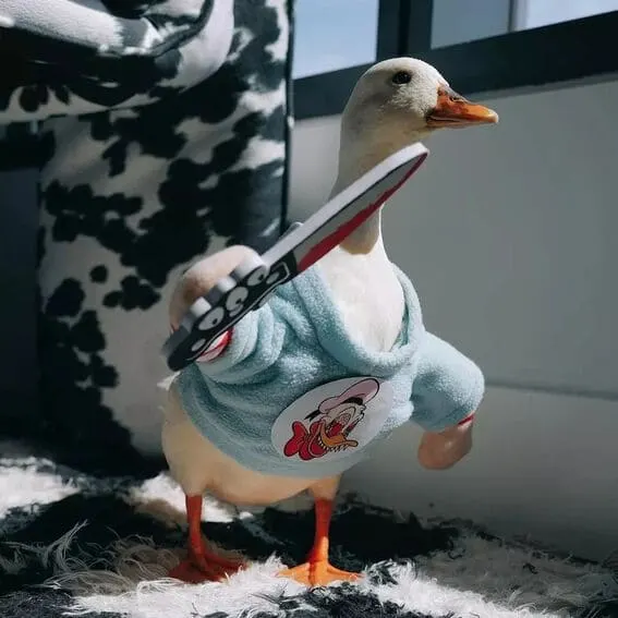 Duck dressed as Chucky.