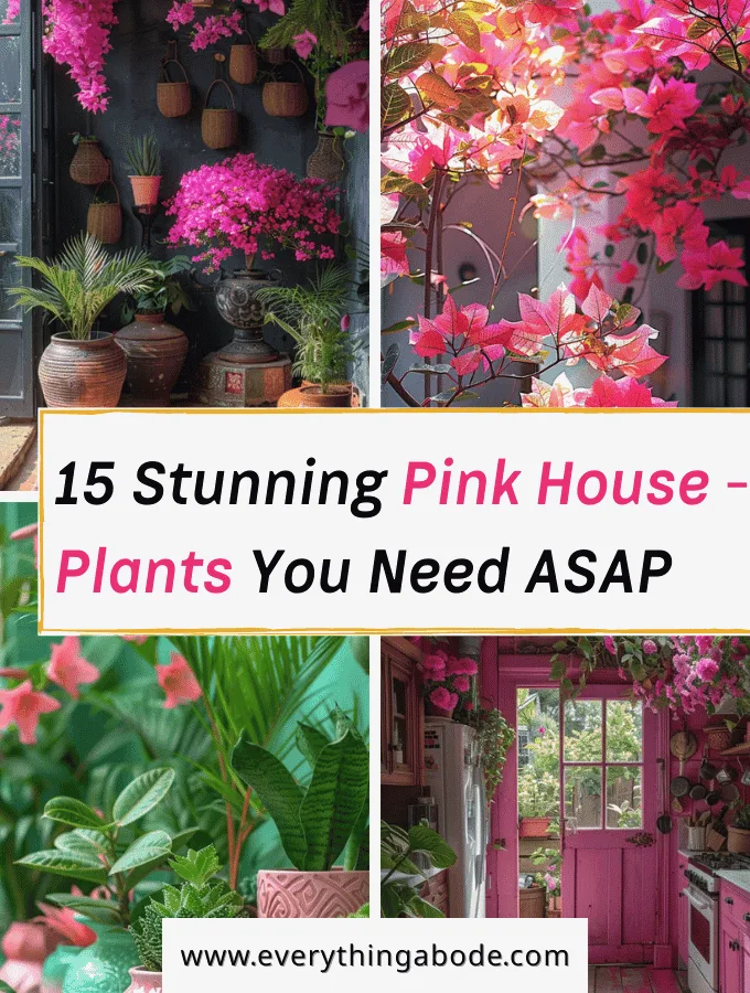 pink houseplants