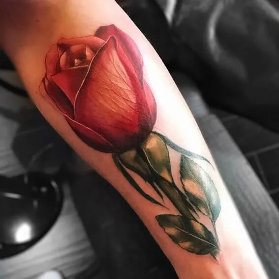 beautiful red rose clean looking tattoo on inner arm of a womans arm