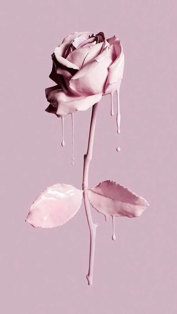 Pink pastel rose wallpaper